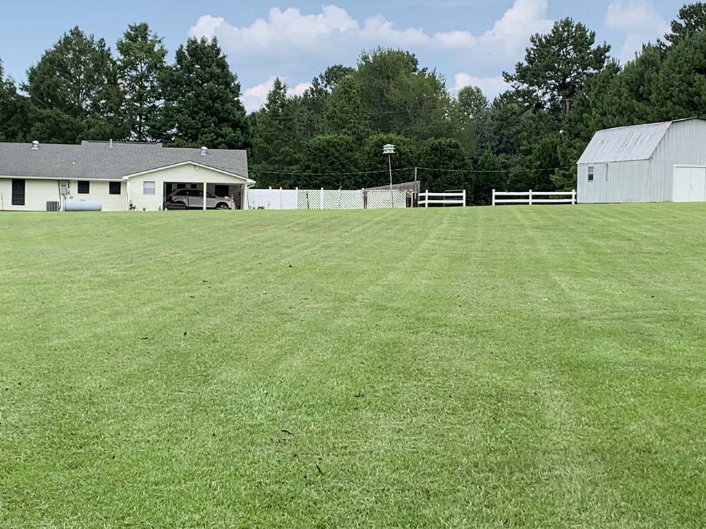 residential lawn