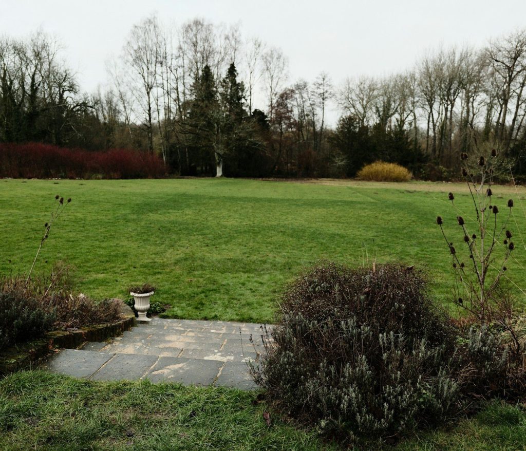 Grassy lawn with trees and bushes in winter